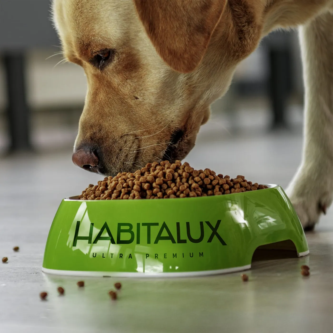 Habitalux - pies jedzący karmę z zielonej miski z logotypem „Habitalux Ultra Premium" na przedniej krawędzi.