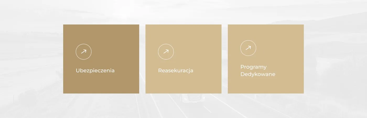 PWS Konstanta - trzy kafle usług na stronie głównej: Ubezpieczenia, Reasekuracja i Programy Dedykowane, w odcieniach złota i brązu na tle rozmytej drogi.