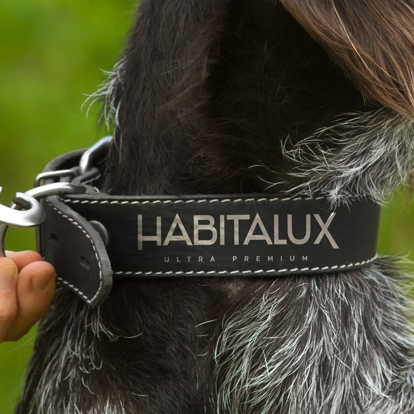 Habitalux - zbliżenie skórzanej obroży dla psa z wytłoczonym logotypem „Habitalux Ultra Premium".