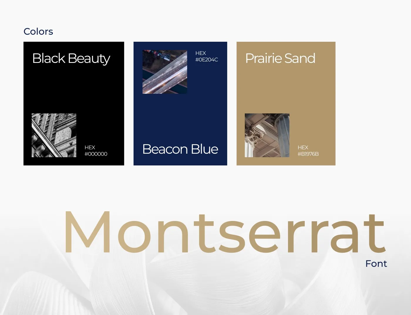 PWS Konstanta - paleta marki: kolory Black Beauty, Beacon Blue i Prairie Sand oraz krój pisma Montserrat.