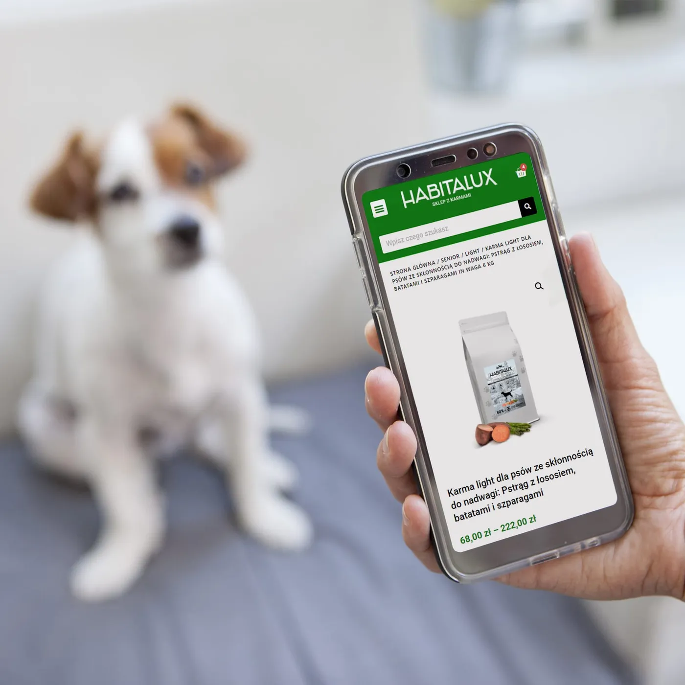 Habitalux - laptop z otwartą kartą produktu karmy w sklepie internetowym, w tle osoba głaszcząca psa.